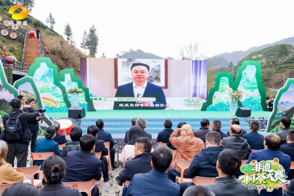 关于“村茶大赛”： 让茶农唱主角！的消息(7)