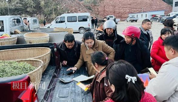 关于明前茶抢鲜上市，恩施茶企开足马力忙生产的相关内容