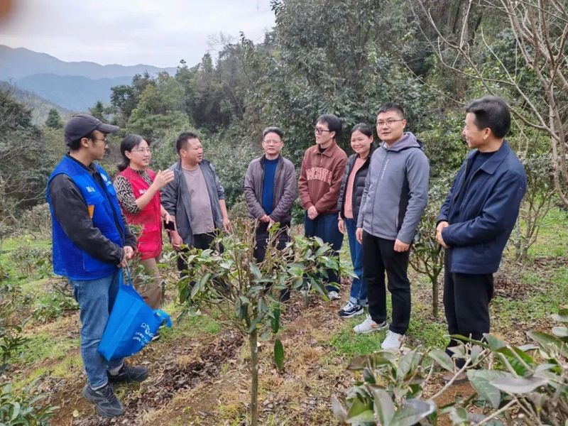 有关于深入茶园送技术，助力阳山大崀茶产业发展的信息(1)