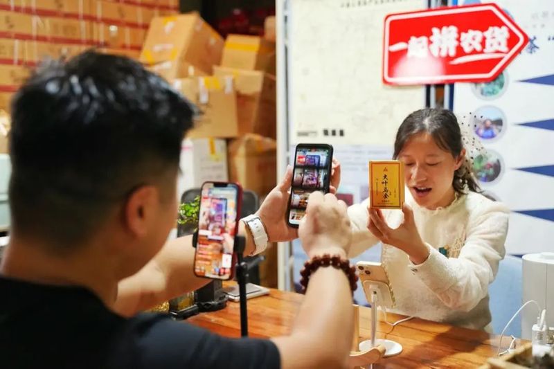 关于复苏、蜕变与隐忧：2023年上半年，茶会展业跑进“春天”了吗？的相关信息(6)