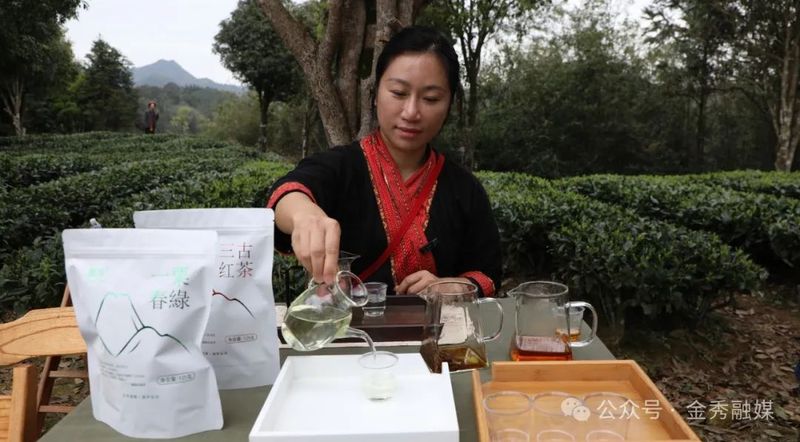 有关于大樟：春茶采摘季 “喊茶”催新芽的相关信息(3)