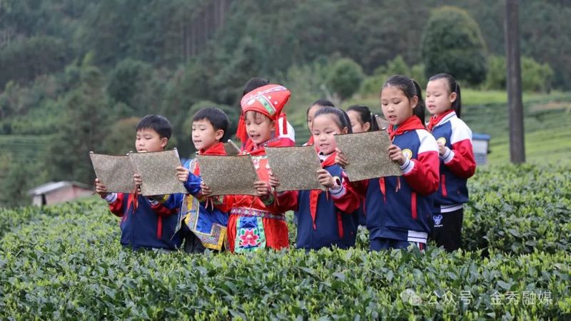 有关于大樟：春茶采摘季 “喊茶”催新芽的相关信息(2)