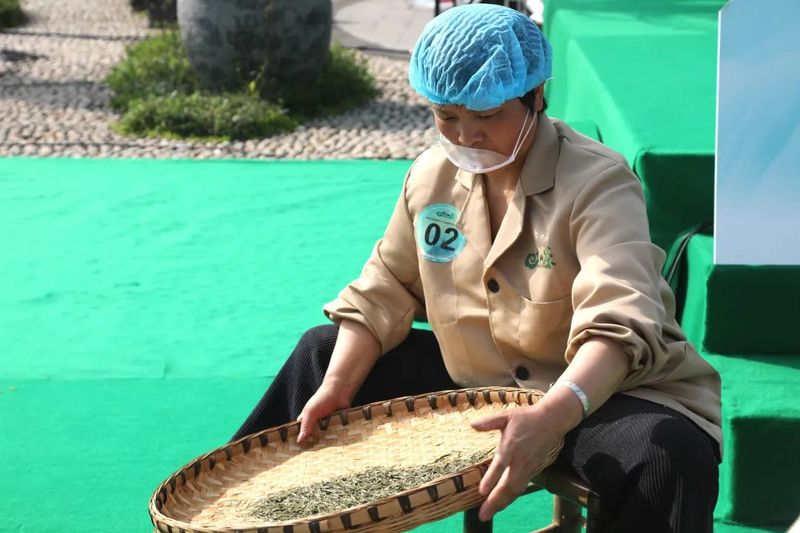 有关于第四届手工采制茶 52名参赛选手同台竞技 拼“手速” 亮绝活的新闻