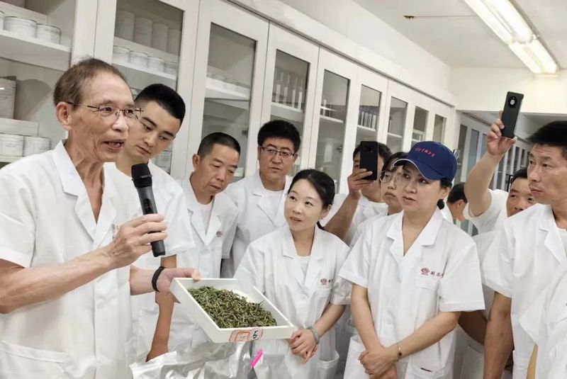 有关于陇南市组织茶叶技术人员赴福建省福鼎市参加白茶制作师研习班培训的新闻(2)