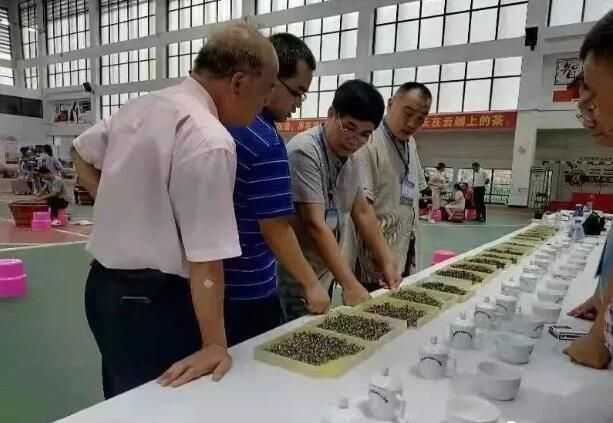 有关于百色市2023年茶产业职工职业技能大赛工将在凌云举行的消息(2)