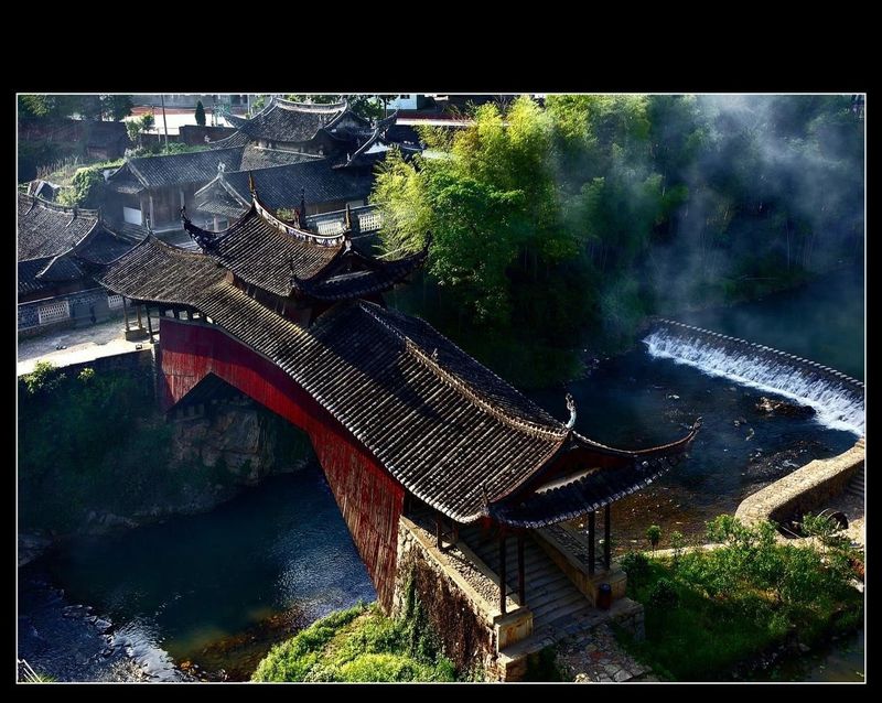 关于浙江泰顺：听《采茶舞曲》，饮泰顺三杯香茶，享康养福地的最新消息(5)