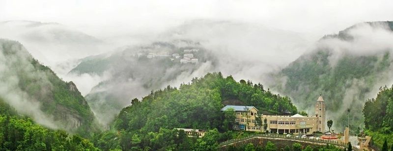 关于浙江泰顺：听《采茶舞曲》，饮泰顺三杯香茶，享康养福地的最新消息(6)