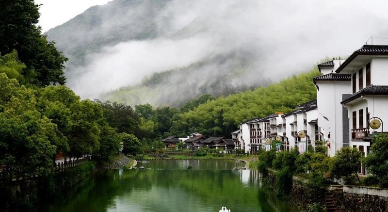 关于浙江泰顺：听《采茶舞曲》，饮泰顺三杯香茶，享康养福地的最新消息(1)