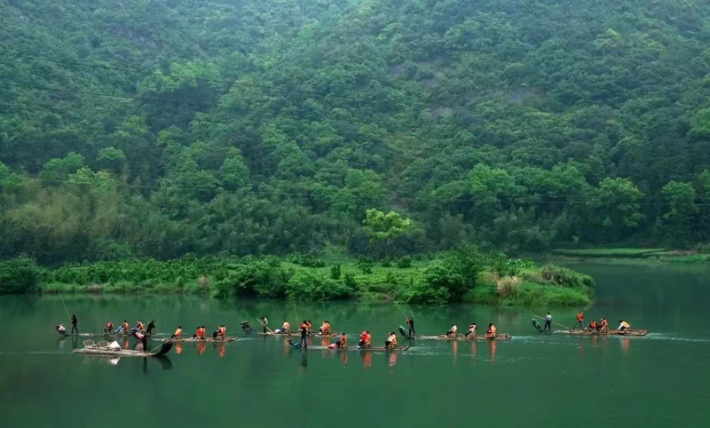 关于福鼎“白茶+文化”乡村振兴文化带：提升底蕴，推动茶旅融合发展的新闻(3)