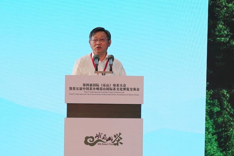 有关于国际绿茶发展共识会议在乐山举行的内容(3)