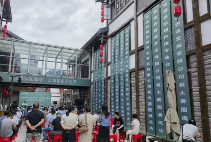 关于第五届职业技能大赛暨莓茶手工制茶决赛成功举办！的内容(3)