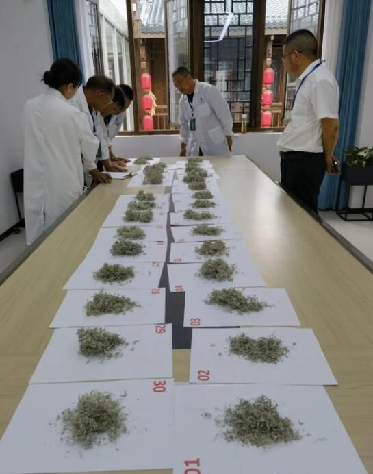 关于第五届职业技能大赛暨莓茶手工制茶决赛成功举办！的内容(11)