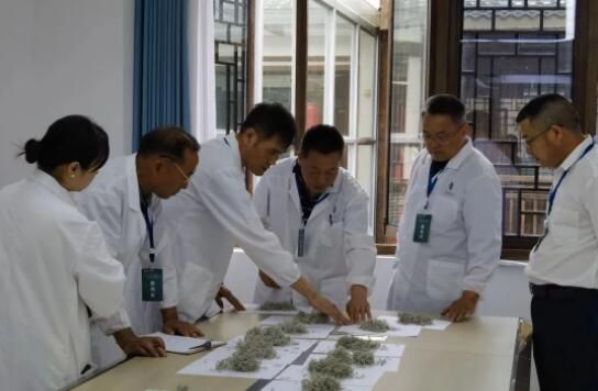 关于第五届职业技能大赛暨莓茶手工制茶决赛成功举办！的内容(12)