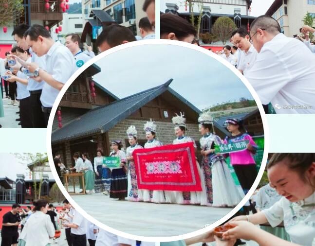 关于第五届职业技能大赛暨莓茶手工制茶决赛成功举办！的内容(1)