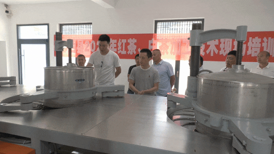 有关于产值0.8亿元!郧西县开拓大宗茶市场 助力茶叶产业链建设的消息(3)