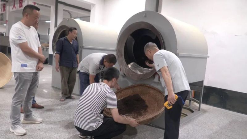 有关于产值0.8亿元!郧西县开拓大宗茶市场 助力茶叶产业链建设的消息(4)