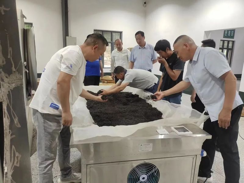 有关于产值0.8亿元!郧西县开拓大宗茶市场 助力茶叶产业链建设的消息(2)