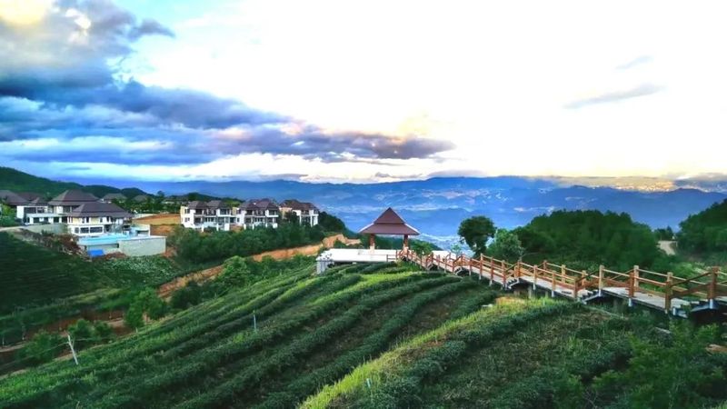 关于“有一种叫云南的生活·有一种温度叫临沧”媒体调研采访团走进临沧茶乡的资讯(1)