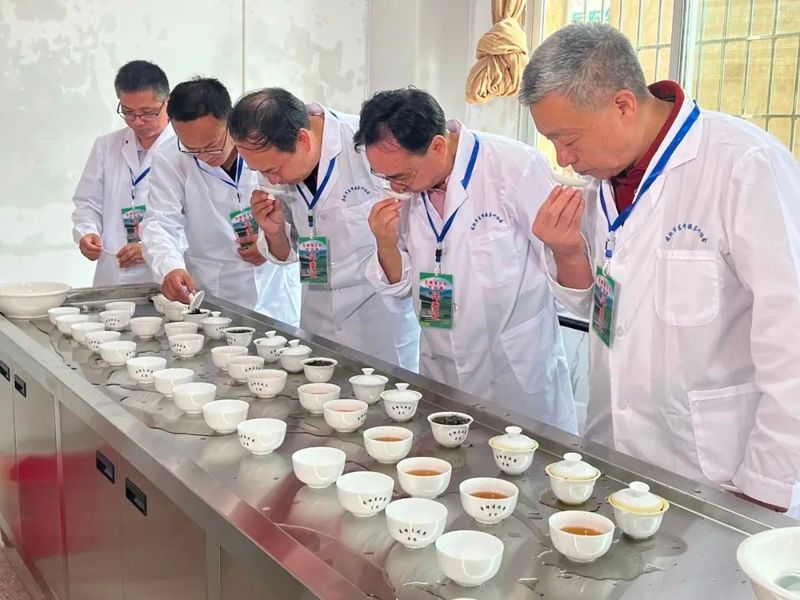 有关于第十三届北苑茗战赛举办的新闻