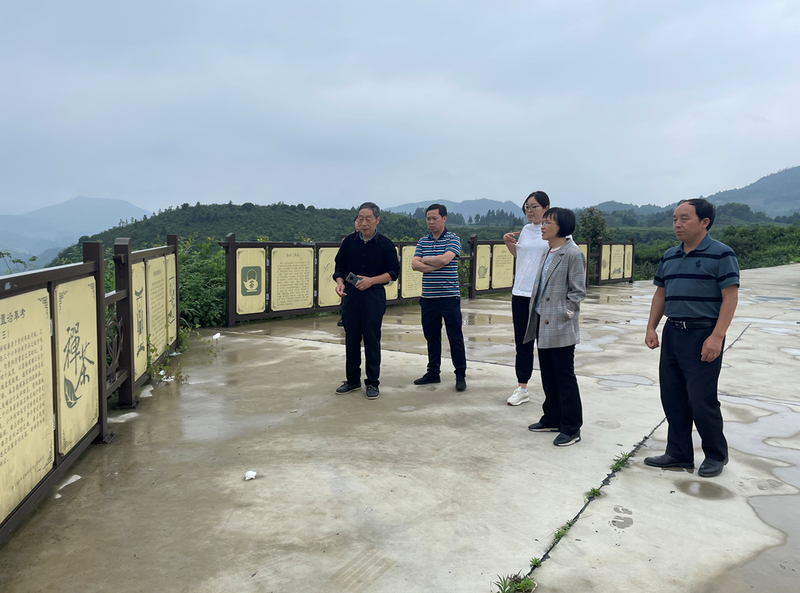 有关于筑巢引凤谋招商 贵定县茶产业呼唤更大发展的相关信息(4)