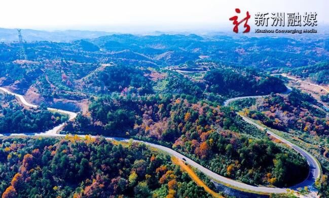 关于聚焦！新洲区促“茶+文旅产业”出圈的新闻(1)