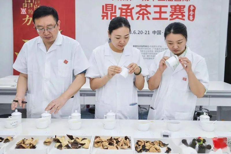 有关于两款浮梁红茶问鼎“茶王”！的相关内容(4)