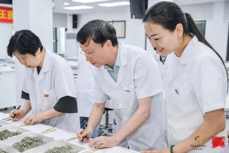 有关于两款浮梁红茶问鼎“茶王”！的相关内容(3)