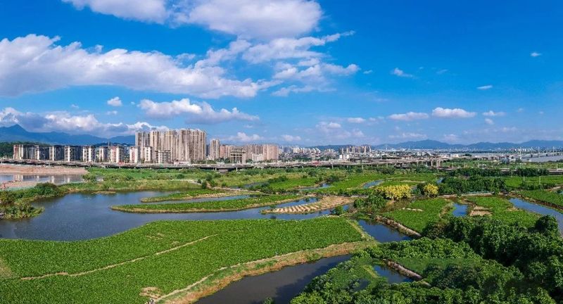 关于福州：一朵“舶来花”与“世界茶港”的古今相逢的资讯(3)