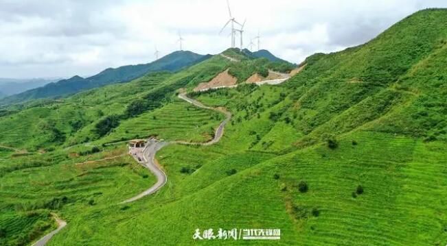 关于黔西南：茶绿山川 业兴富民的新闻(4)