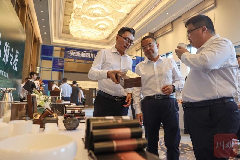 关于茶香满满，雅茶集团亮相雅安市投资推介会的相关信息(4)