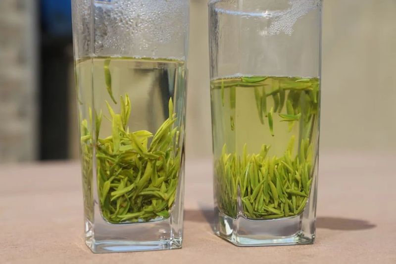 有关于第四届国际（乐山）绿茶大会  扬帆起航 夹江茶产业发展势头正劲的相关信息(7)