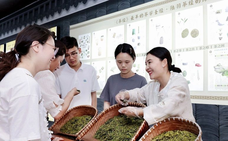 关于枣庄市市中区:“小叶子”唱响茶经济的相关信息(1)