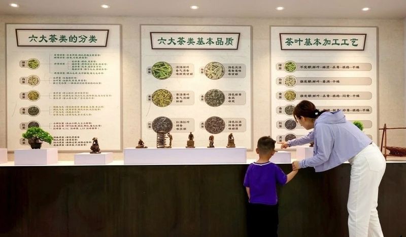 关于枣庄市市中区:“小叶子”唱响茶经济的相关信息