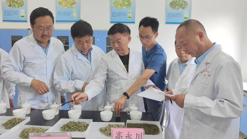 有关于打响“蒙顶甘露”金字招牌 适制蒙顶甘露茶树品种研讨会在名山区举行的新闻(2)
