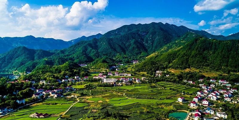 关于安徽岳西：红色岳西，云上茶乡的资讯