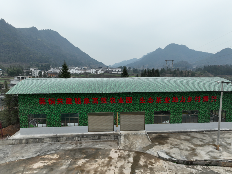 有关于以“园”赋能，怒溪茶产业跑出高质量发展“加速度”的相关内容(3)