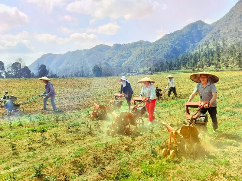 有关于以“园”赋能，怒溪茶产业跑出高质量发展“加速度”的相关内容(2)