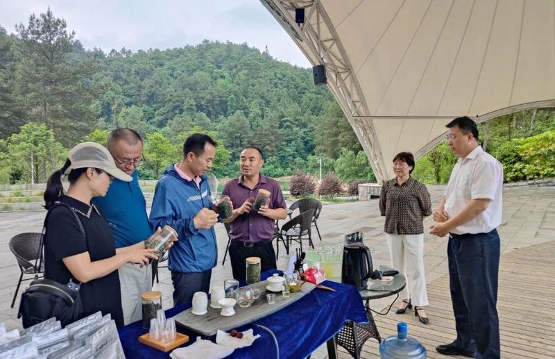 关于凤庆县：组织部分市县政协委员外出考察茶叶全产业链建设的新闻(3)