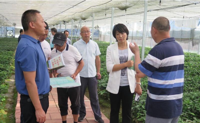 关于凤庆县：组织部分市县政协委员外出考察茶叶全产业链建设的新闻