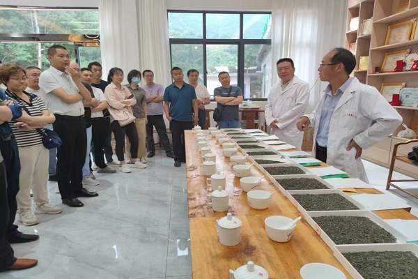 关于勉县举办汉中蜜黄及花果香红茶加工技术培训会的消息(3)