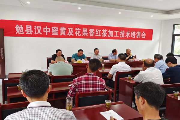 关于勉县举办汉中蜜黄及花果香红茶加工技术培训会的消息(1)