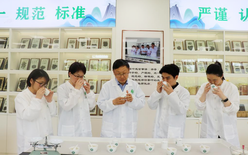 有关于它们,被认定为全国涉茶类国家级一流本科课程,附2023中国大学茶学专业排名的消息(1)