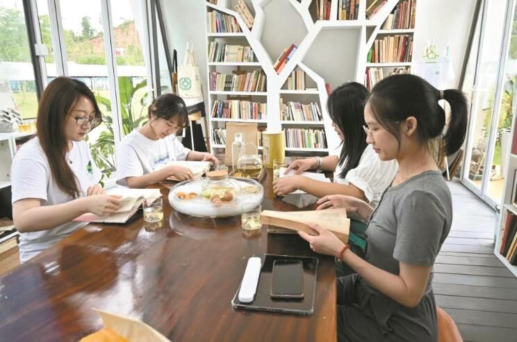 有关于中山：新老茶人接续本地“茶脉” 重塑“五桂山茶”昔日辉煌的新闻(1)