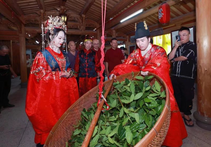 有关于安溪:一场铁观音茶俗甜蜜婚典的内容(4)