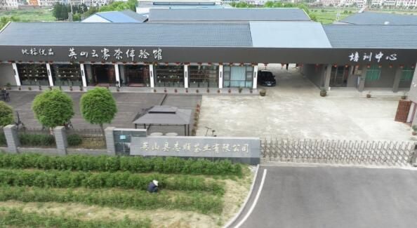 有关于英山：云生雾养育好茶 聚力品牌打造百亿产业的信息(4)