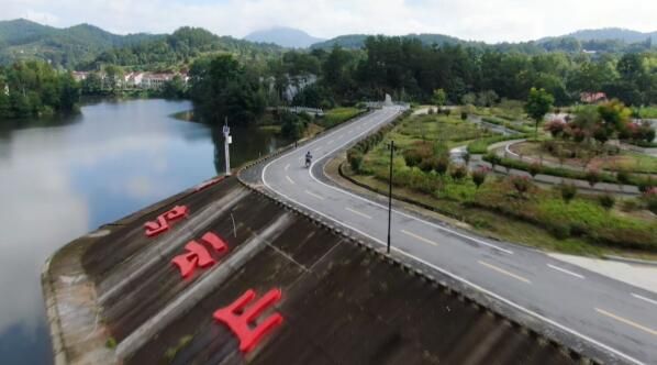 有关于英山：云生雾养育好茶 聚力品牌打造百亿产业的信息(8)