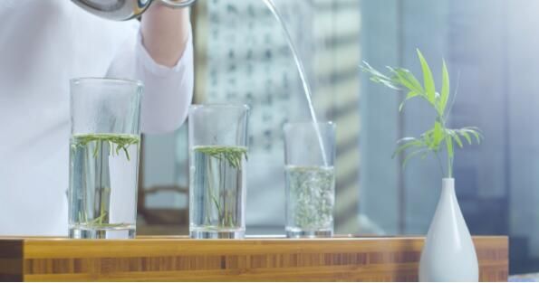 有关于英山：云生雾养育好茶 聚力品牌打造百亿产业的信息(6)