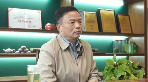 有关于英山：云生雾养育好茶 聚力品牌打造百亿产业的信息(11)