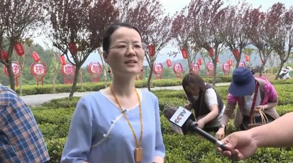 有关于英山：云生雾养育好茶 聚力品牌打造百亿产业的信息(9)