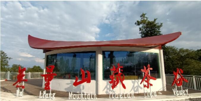 关于小湾东镇：茶旅融合促振兴的内容(3)